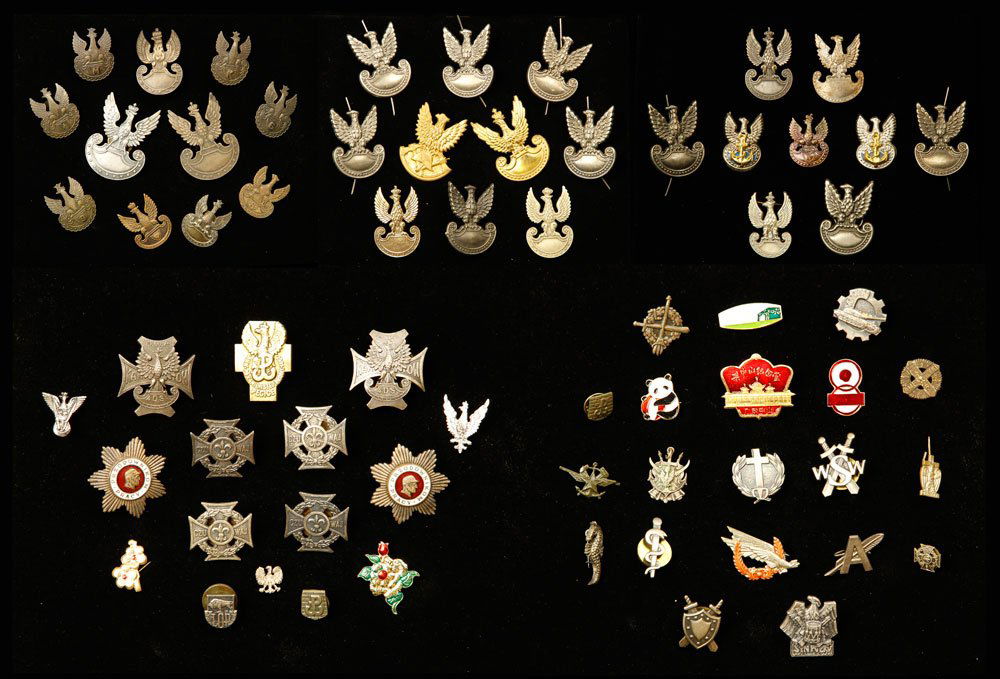 Lot of Military Insignia: Large lot of assorted military insignia. Provenance: From the estate of film, television and stage performer Raymond Kyle-Koscuik. Originally from New York, Kyle settled in West Hollywood, California