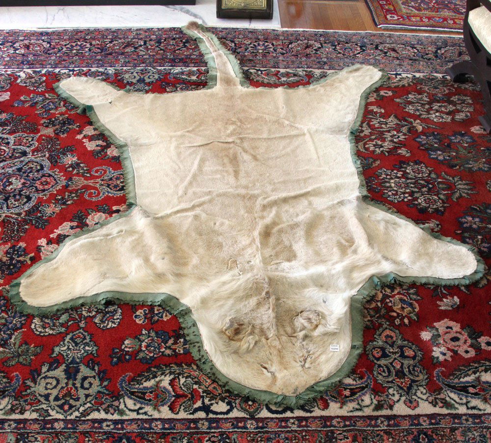 Lion Skin Rug (1 of 5)