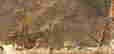 item-1928100=2