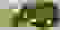 item-1958169=2
