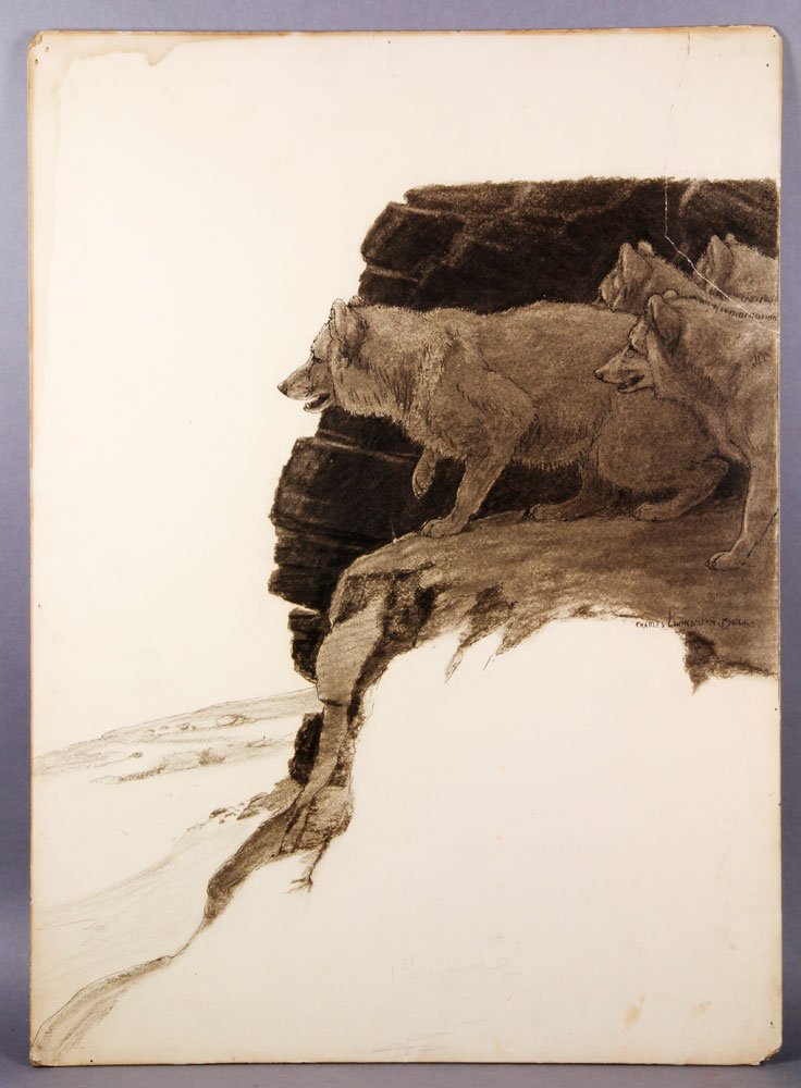Bull, "Koyo, The Singer," Charcoal and Ink: Charles Livingston Bull (American, 1874-1932), "Koyo, The Singer," charcoal and ink, signed, labeled verso, 18" h x 24 1/2" w.