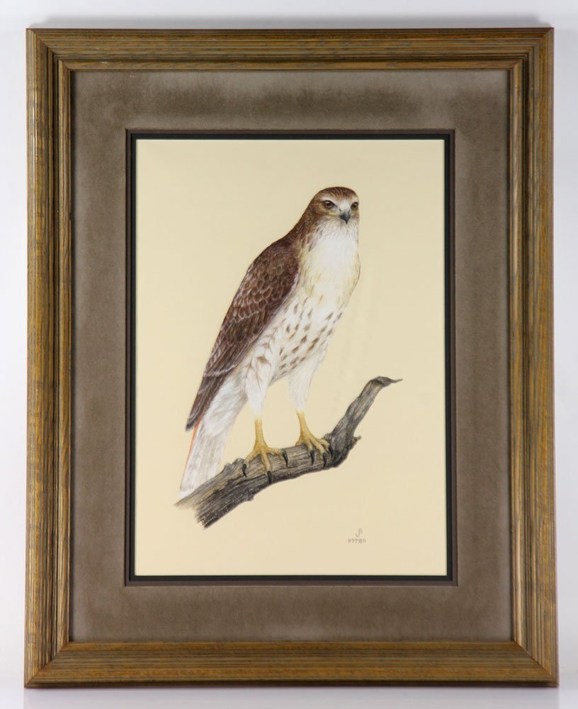 Red-Tailed Hawk, Pastel: Red-tailed hawk, colored pencil on paper, signed "JS," 14 1/2" high x 20 1/2" wide. Provenance: from the personal collection of Larry and Joy Redman of Lompoc, California.
