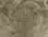 item-49072340=3