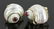 Pr. Seaman Schepps 14K Gold and Ruby Earrings