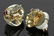 Pr. Seaman Schepps 14K Gold and Ruby Earrings - 3