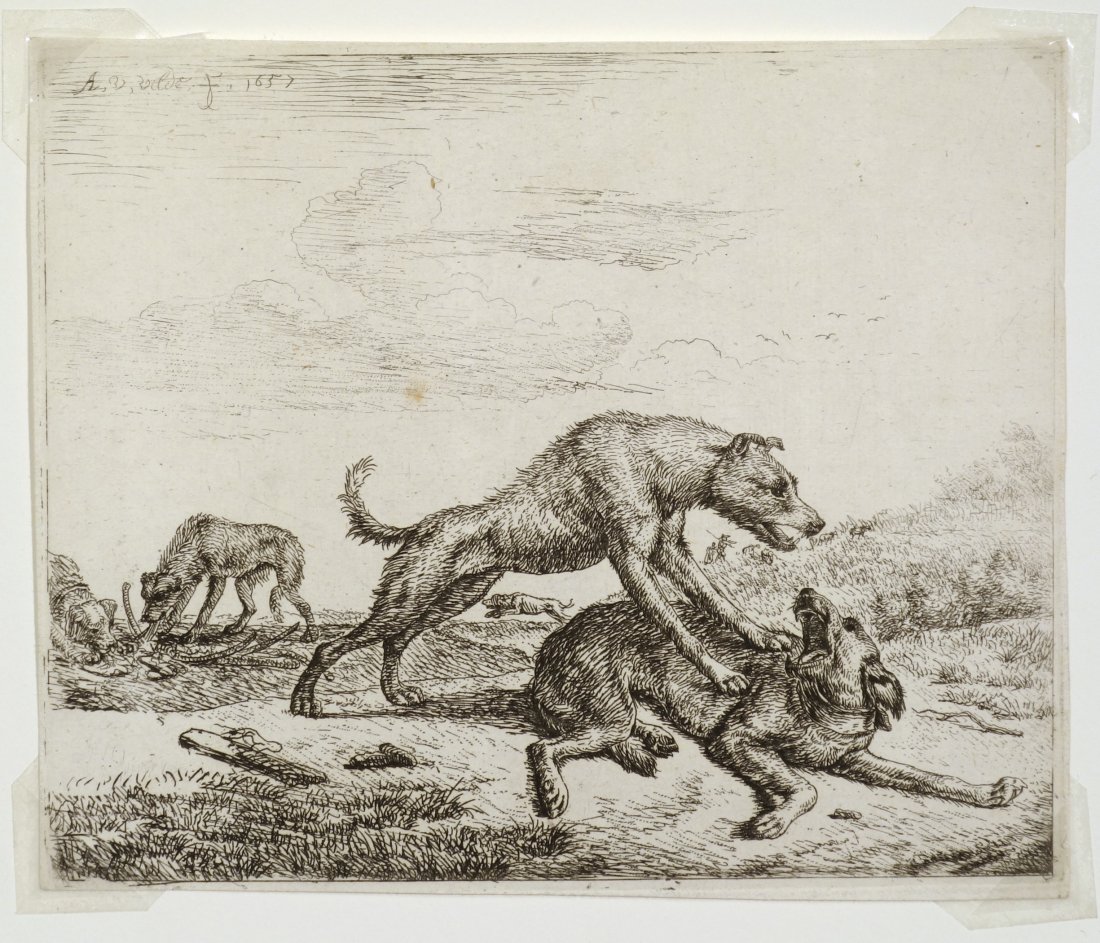 Adrian VAN DE VELDE - Vicious Dogs, pl. 9: Adrian VAN DE VELDE (Dutch, 1636-1672) Vicious Dogs, pl. 9. Etching. 1657. Edition unstated. 11-1/4 x 13-1/2 inches.