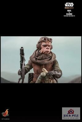 Hot Toys TMS049 "Kuiil And Blurrg (Mando)" Action Figure: Hot Toys TMS049 "Kuiil And Blurrg (Mando)" Action Figure