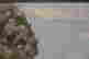 item-128427929=9