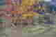 item-128427931=4