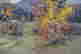 item-128427931=5