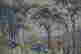item-128427945=6