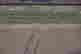 item-128427953=10