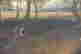 item-128427969=6