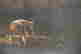 item-128427969=8