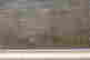 item-128428073=8