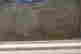 item-128428073=9