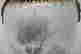 item-128428157=4