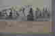 item-133559774=5