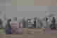 item-133559774=6