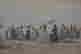 item-133559774=7