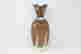 item-133559899=4