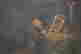 item-136320793=3
