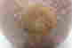 item-136320806=10