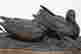 item-136320845=2