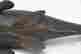 item-136320846=10