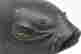 item-136320846=14