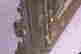 item-136573976=13