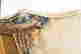item-120074248=3