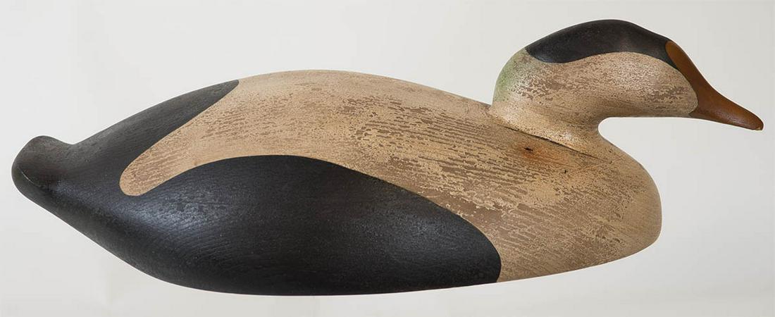 CARVED WOOD DECOYCommon Eider (drake), "A hollow hand (1 of 3)