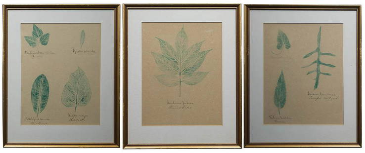 THREE FRAMED LEAF IMPRINTSMade by Elder Henry Blinn, Canterbury Shakers, N.H., authenticated by: THREE FRAMED LEAF IMPRINTSMade by Elder Henry Blinn, Canterbury Shakers, N.H., authenticated by Sister Bertha Lindsay (in her handwriting on label on the back), original green imprints with black ink