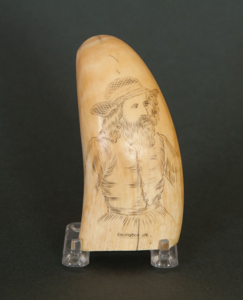 Whale's tooth, scrimshawed, 5" l: 19TH C. SCRIMSHAWED WHALE'S TOOTH Depicting a gold miner "California Joe", in hat with beard and long hair, small chip off base in back and two small cracks, otherwise good condition, originally from 
