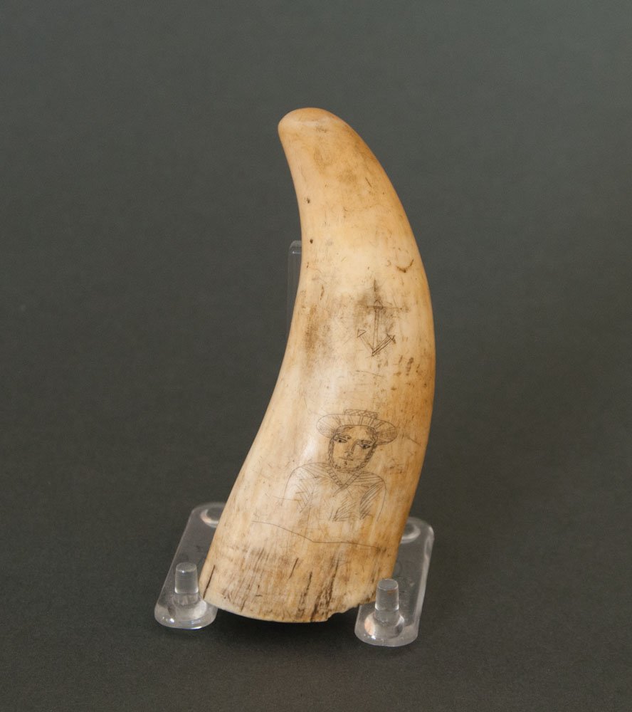 Whale's tooth, scrimshawed, 5" l: 19TH C. SCRIMSHAWED WHALE'S TOOTH Depicting a young bearded sailor in hat with brim and tunic, an anchor above, and on the reverse a whale ship seen from the stern flying an American flag, originally 