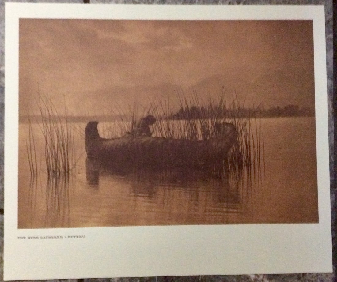 THE RUSH GATHERER—KUTENAI" Edward Curtis 2006 Sepia Tone American Indian Photo: Sepia Tone North American Indian Photo Of Western Indian Life By Famed 19th Century American Photographer Edward S. Curtis. Copyright 2006 by Tess Press/BBS Publishing. Suitable for framing, each phot