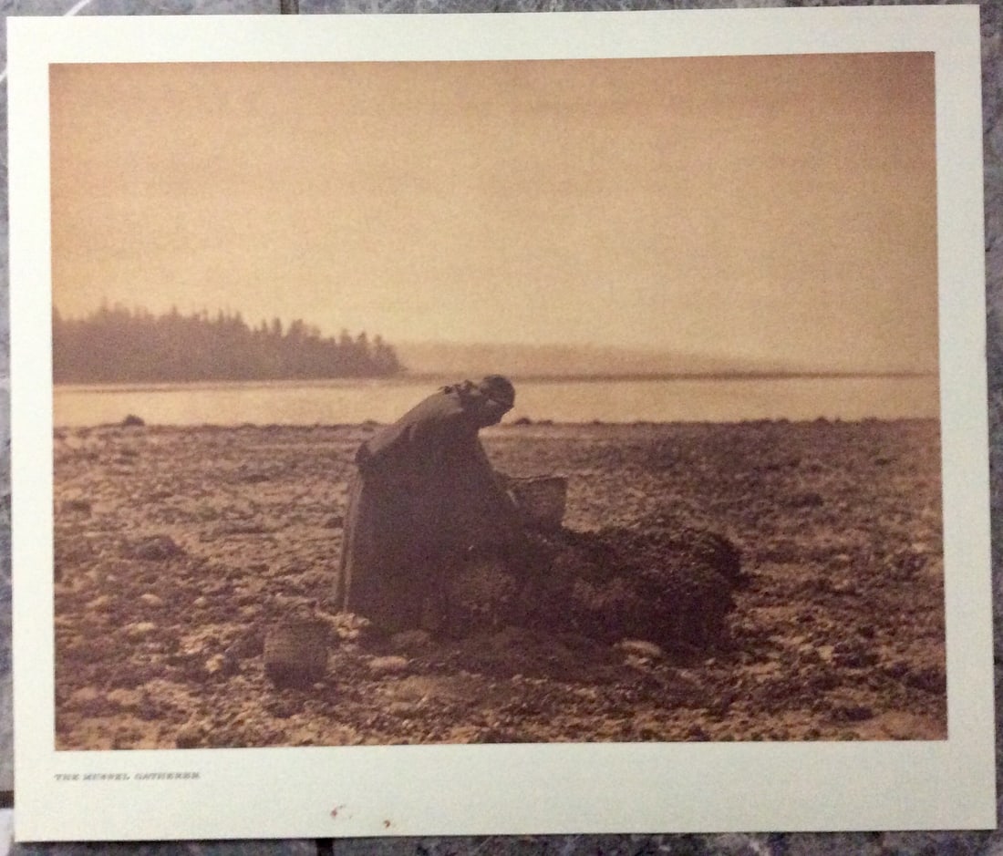 "THE MUSSEL GATHERER" Edward Curtis 2006 Sepia Tone American Indian Photo: Sepia Tone North American Indian Photo Of Western Indian Life By Famed 19th Century American Photographer Edward S. Curtis. Copyright 2006 by Tess Press/BBS Publishing. Suitable for framing, each phot