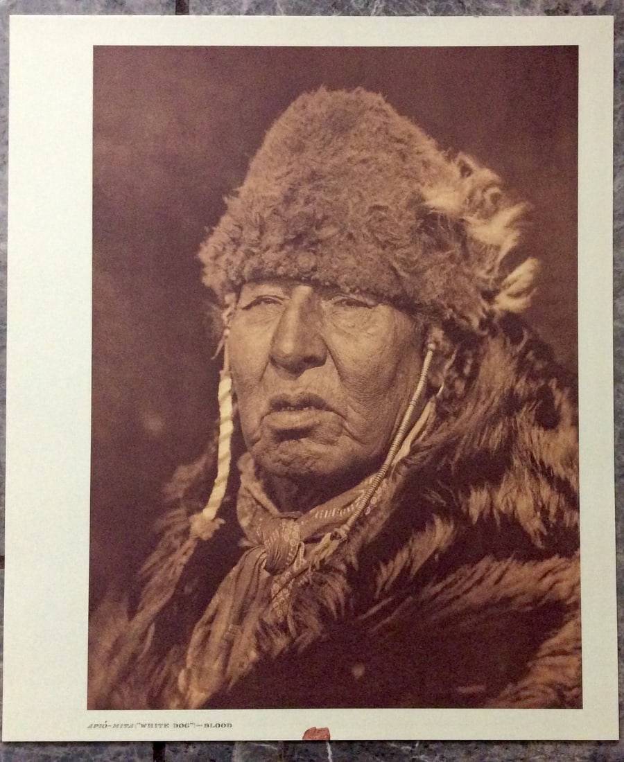 "APIO-MITA (WHITE DOG)-BLOOD" Edward Curtis 2006 Sepia Tone American Indian Photo: Sepia Tone North American Indian Photo Of Western Indian Life By Famed 19th Century American Photographer Edward S. Curtis. Copyright 2006 by Tess Press/BBS Publishing. Suitable for framing, each phot