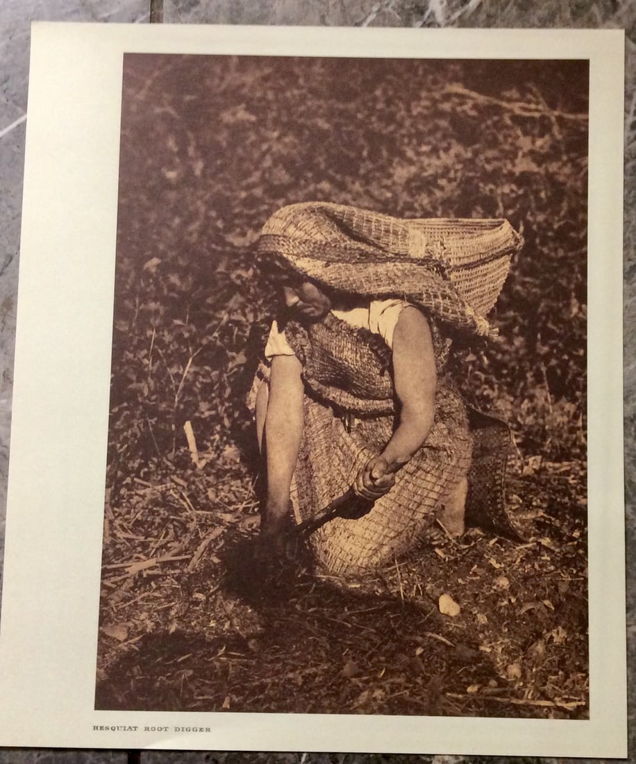 "HESQUIAT ROOT DIGGER" Edward Curtis 2006 Sepia Tone American Indian Photo: Sepia Tone North American Indian Photo Of Western Indian Life By Famed 19th Century American Photographer Edward S. Curtis. Copyright 2006 by Tess Press/BBS Publishing. Suitable for framing, each phot