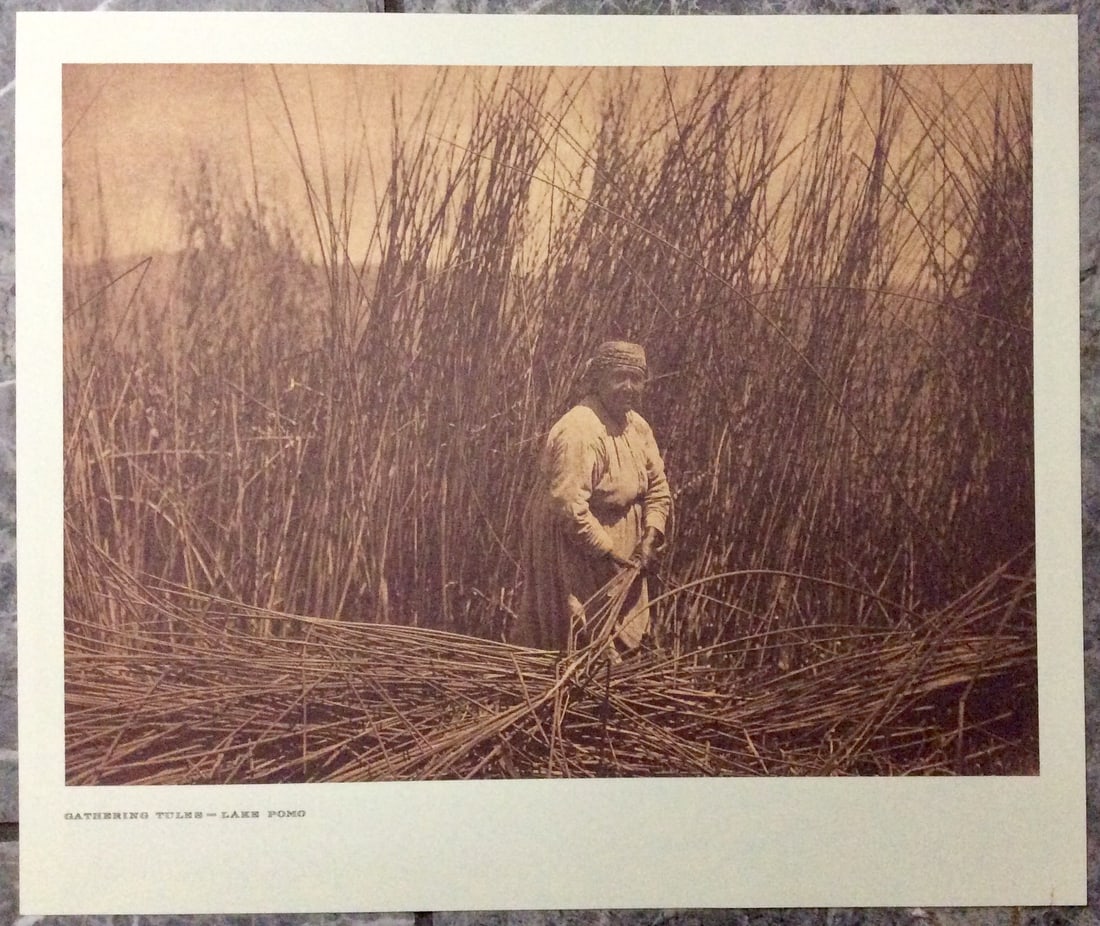 "GATHERING TULES-LAKE POMO" Edward Curtis 2006 Sepia Tone American Indian Photo: Sepia Tone North American Indian Photo Of Western Indian Life By Famed 19th Century American Photographer Edward S. Curtis. Copyright 2006 by Tess Press/BBS Publishing. Suitable for framing, each phot