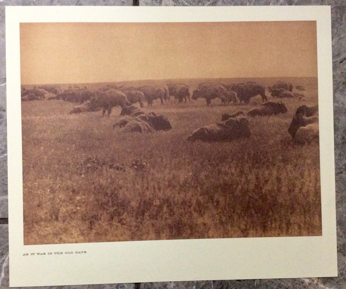 "AS IT WAS IN THE OLD DAYS" Edward Curtis 2006 Sepia Tone American Indian Photo: Sepia Tone North American Indian Photo Of Western Indian Life By Famed 19th Century American Photographer Edward S. Curtis. Copyright 2006 by Tess Press/BBS Publishing. Suitable for framing, each phot