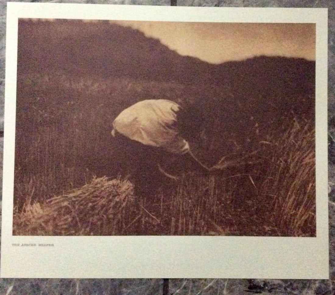 "THE APACHE REAPER" Edward Curtis 2006 Sepia Tone American Indian Photo: Sepia Tone North American Indian Photo Of Western Indian Life By Famed 19th Century American Photographer Edward S. Curtis. Copyright 2006 by Tess Press/BBS Publishing. Suitable for framing, each phot