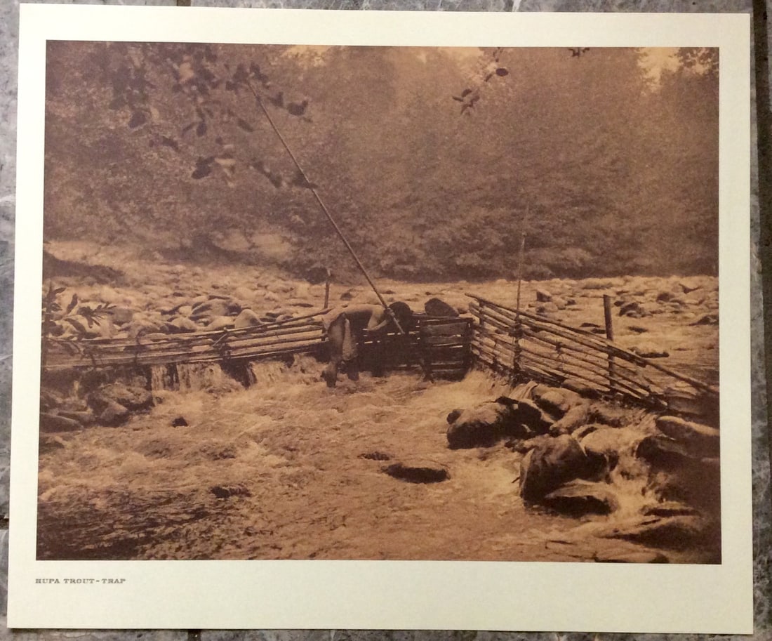 "HUPA-TROUT TRAP" Edward Curtis 2006 Sepia Tone American Indian Photo: Sepia Tone North American Indian Photo Of Western Indian Life By Famed 19th Century American Photographer Edward S. Curtis. Copyright 2006 by Tess Press/BBS Publishing. Suitable for framing, each phot