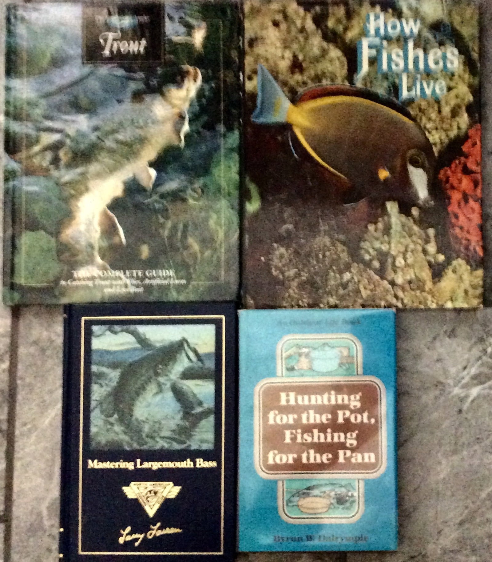 Lot Of (4) Books 1975-89 On Fish/Fishing All Hardcovers (1 of 1)