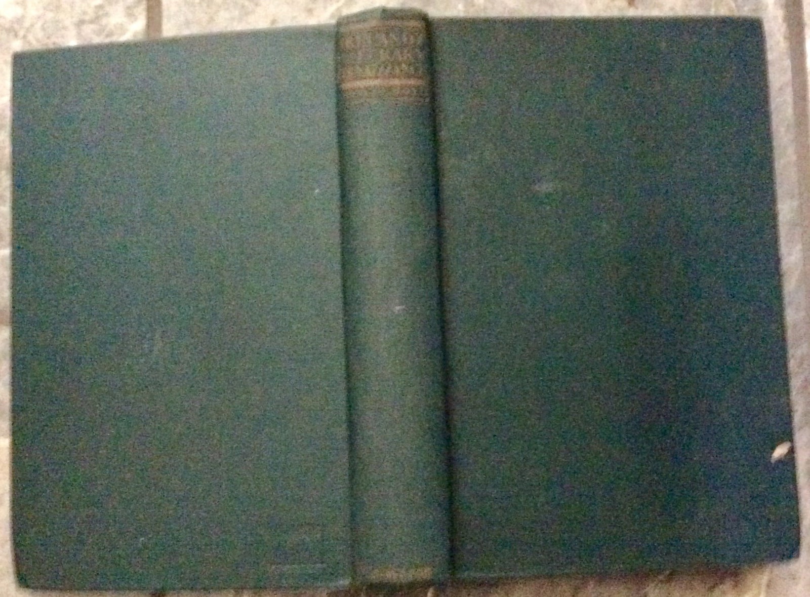 AUTHOR SIGNED "Ireland's Literary Renaissance" by Ernest Boyd ANTIQUE 1922 Hardcover History of the: AUTHOR SIGNED ANTIQUE 1922 Hardcover History of the Irish Literacy Revival Known As The "Celtic Twilight". Ireland's Literary Renaissance" by Ernest Boyd. SIGNED HARDCOVER 1922 Alfred Knopf Stated Rev