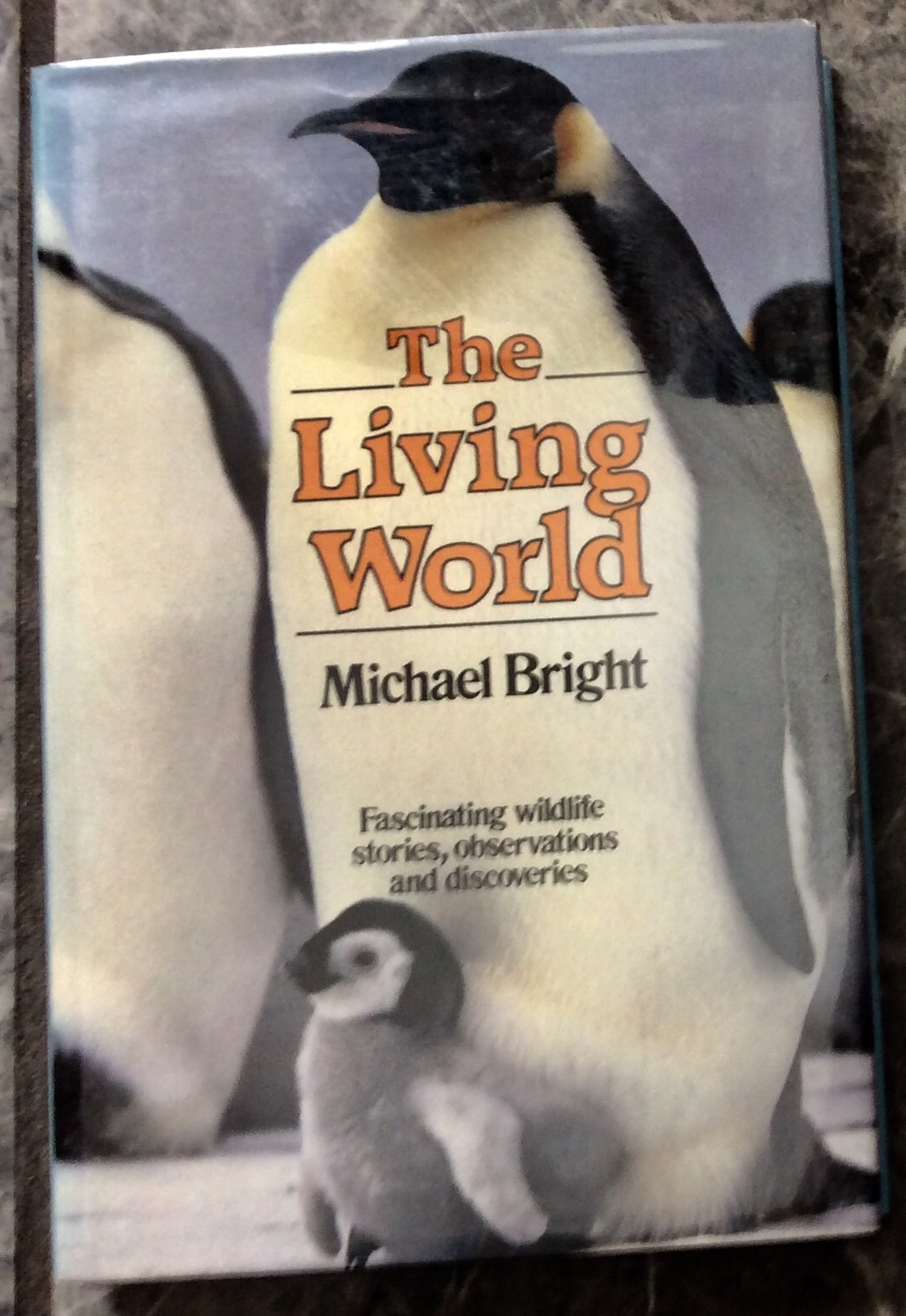 "The Living World" by Michael Bright 1987 Hardcover Observations of The Natural World. Stated 1st US: 1987 Hardcover Observations of The Natural World. 1st Edition 1st Printing In Dust Jacket. "The Living World: Fascinating Wildlife Stories, Observations & Discoveries" by Michael Bright HARDCOVER 1987