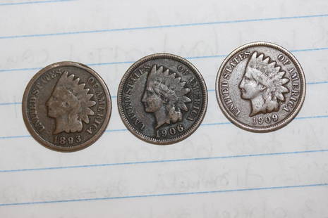 Lot of 3 Indian Head Cents: as shown