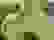 item-70407827=3