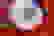 item-70407836=6